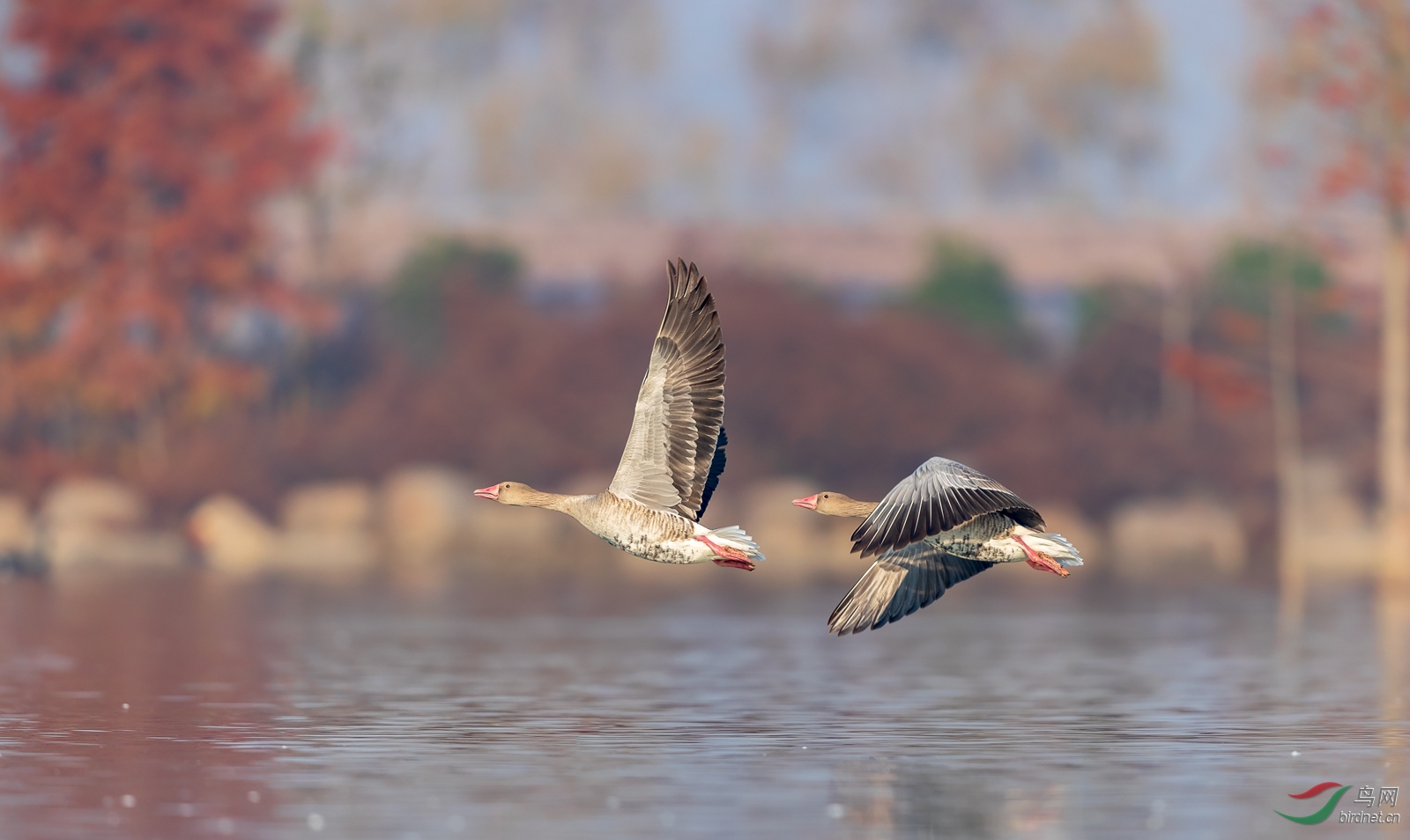 1DX_4481-Pano.jpg