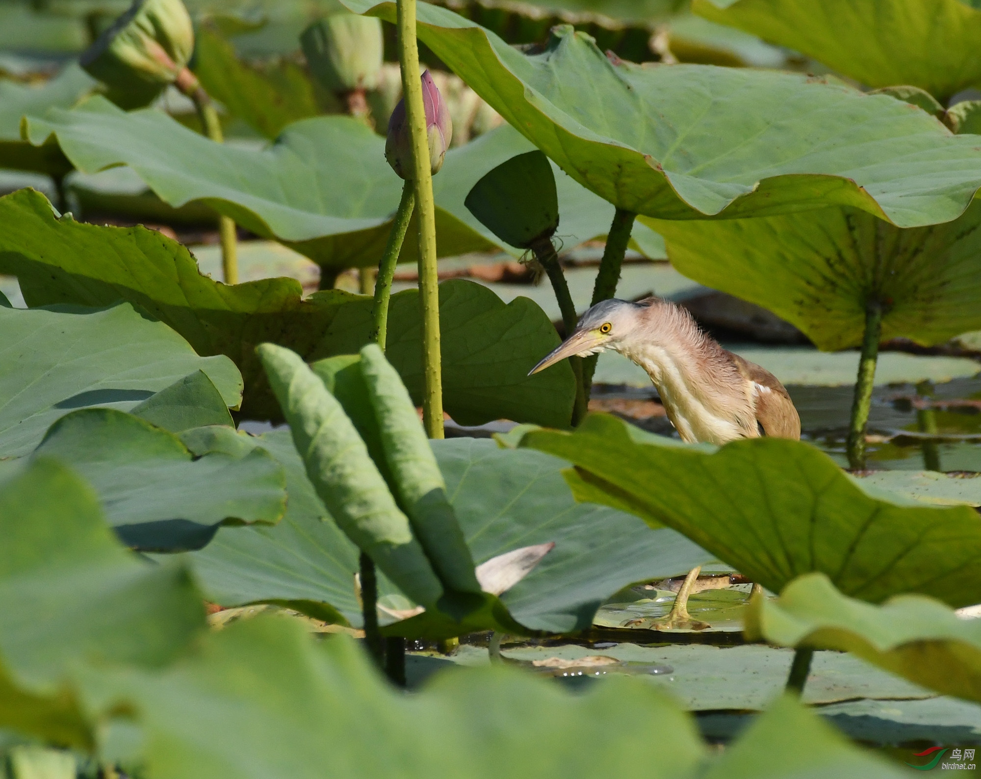 ������Ӱ 2525����.jpg