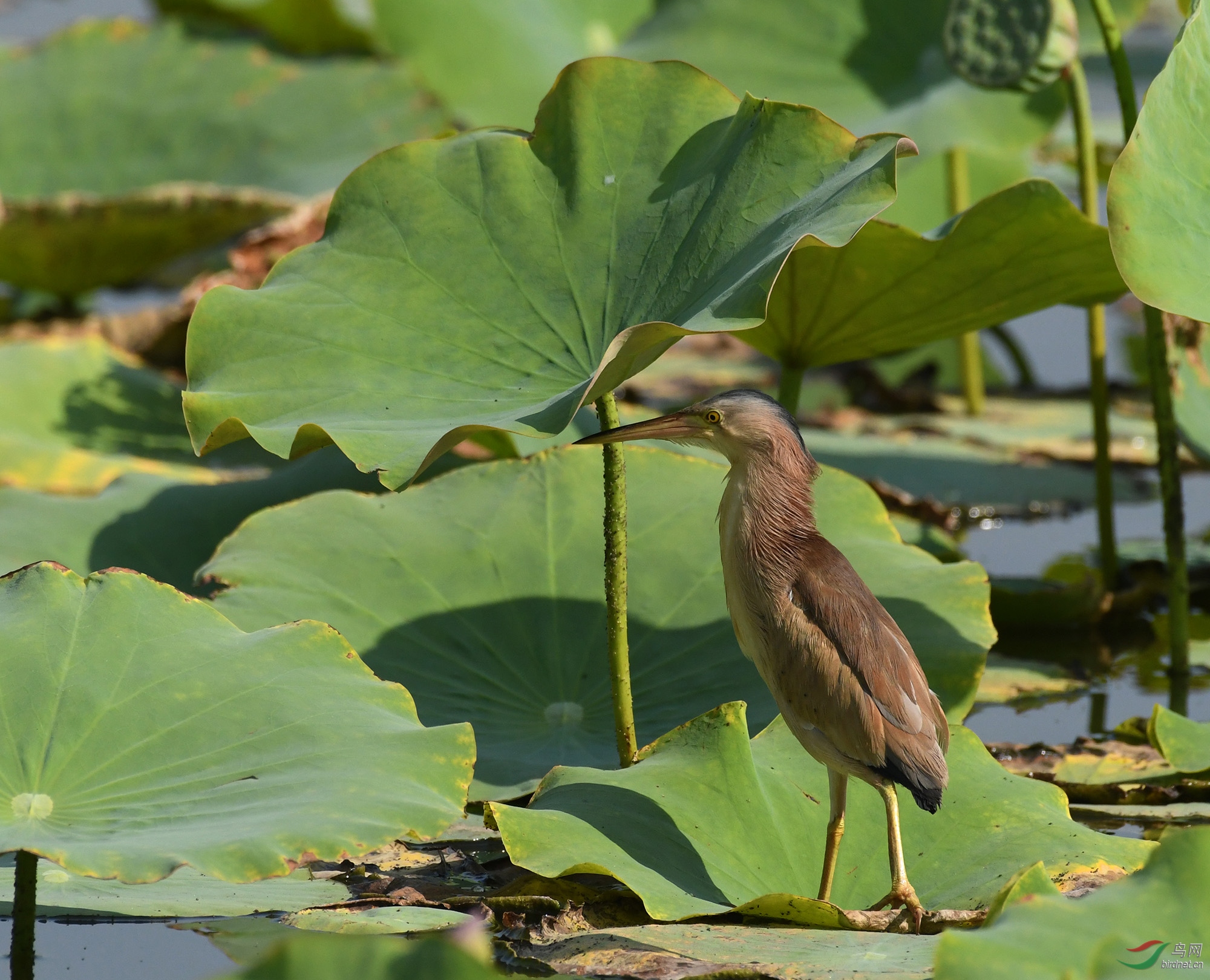 ������Ӱ 2383����.jpg