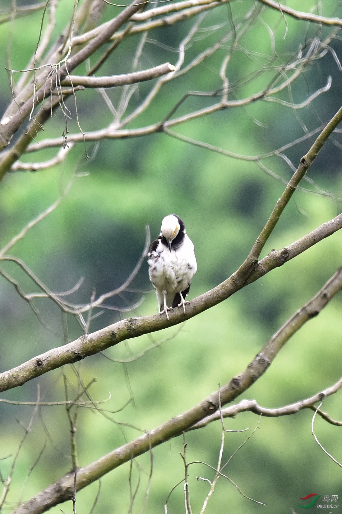 DSC_0576.JPG