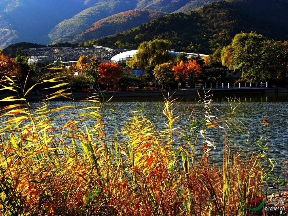 DSCN6635.JPG