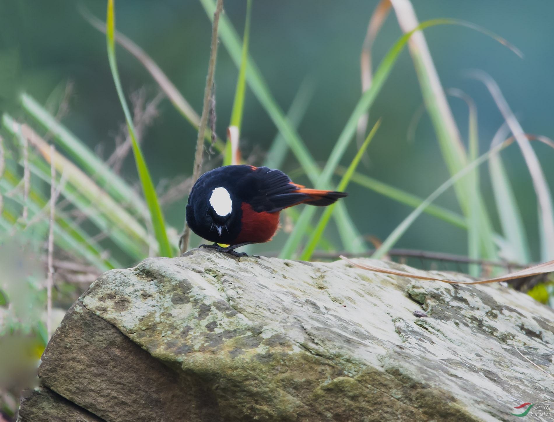 DSC_6958.jpg