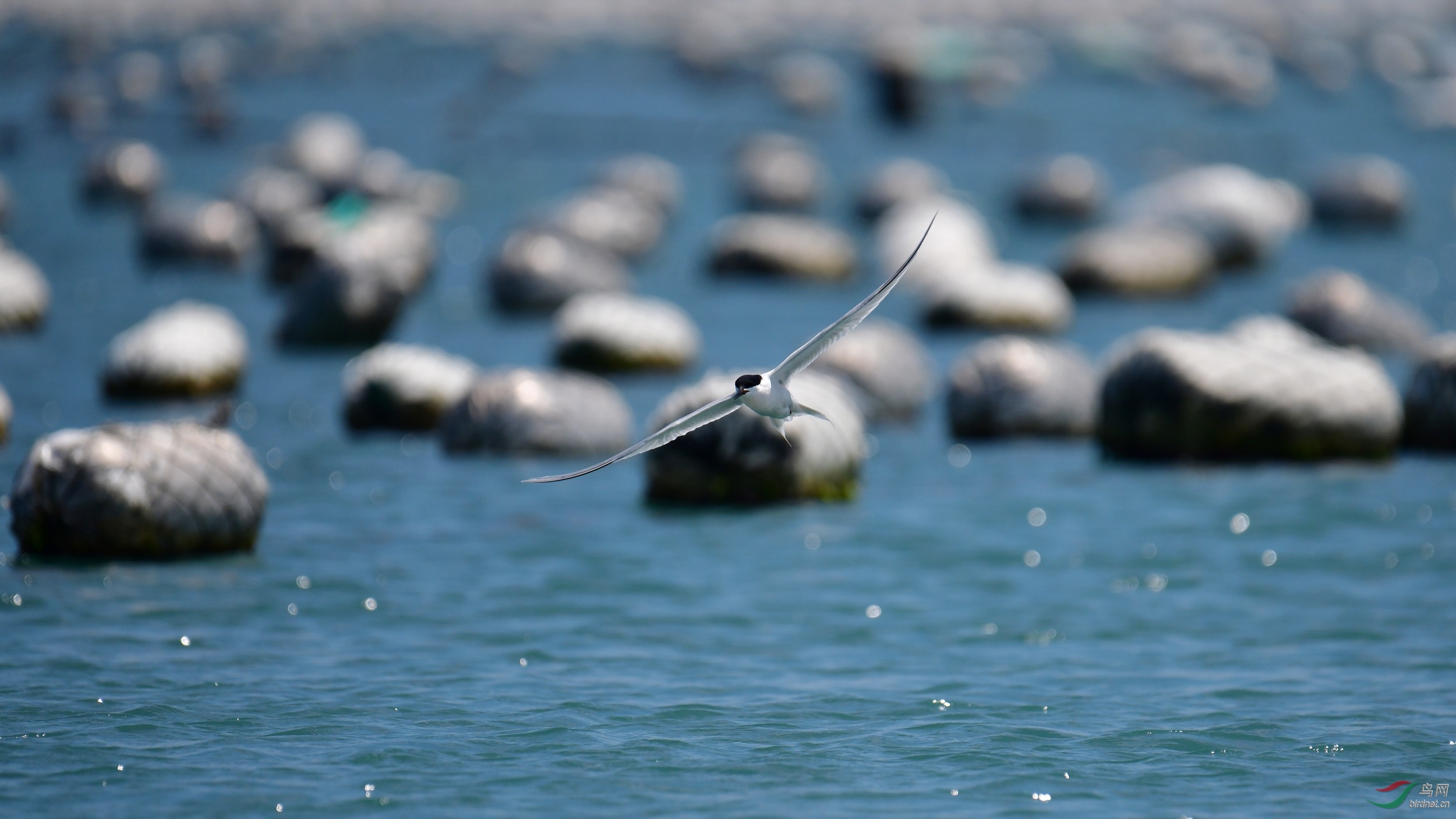 2019-06-05_����Χͷ���-1203 Сͼ.jpg