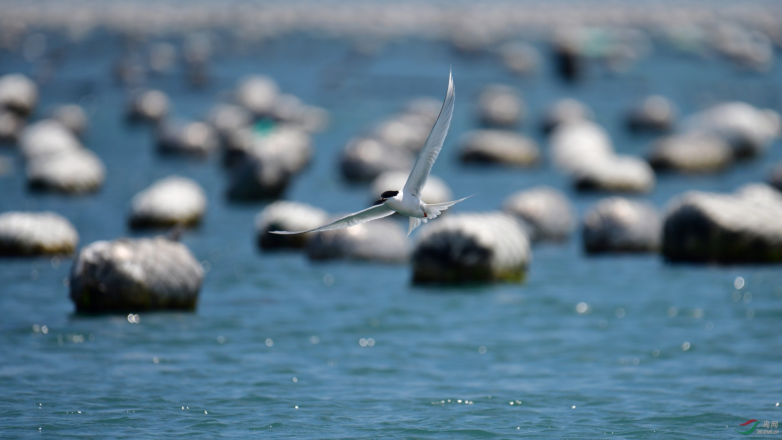 2019-06-05_����Χͷ���-1204 Сͼ.jpg