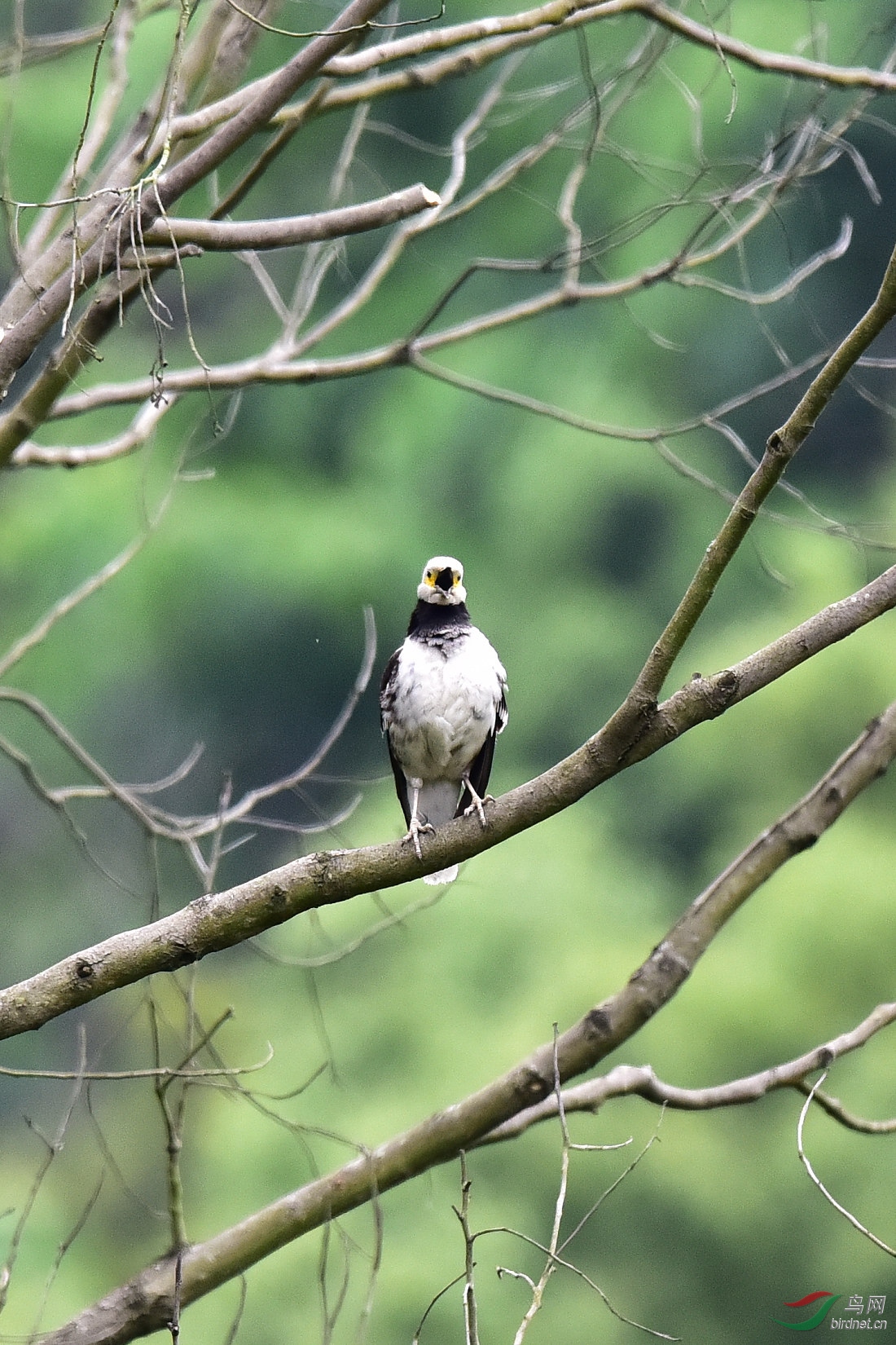 DSC_0581.JPG