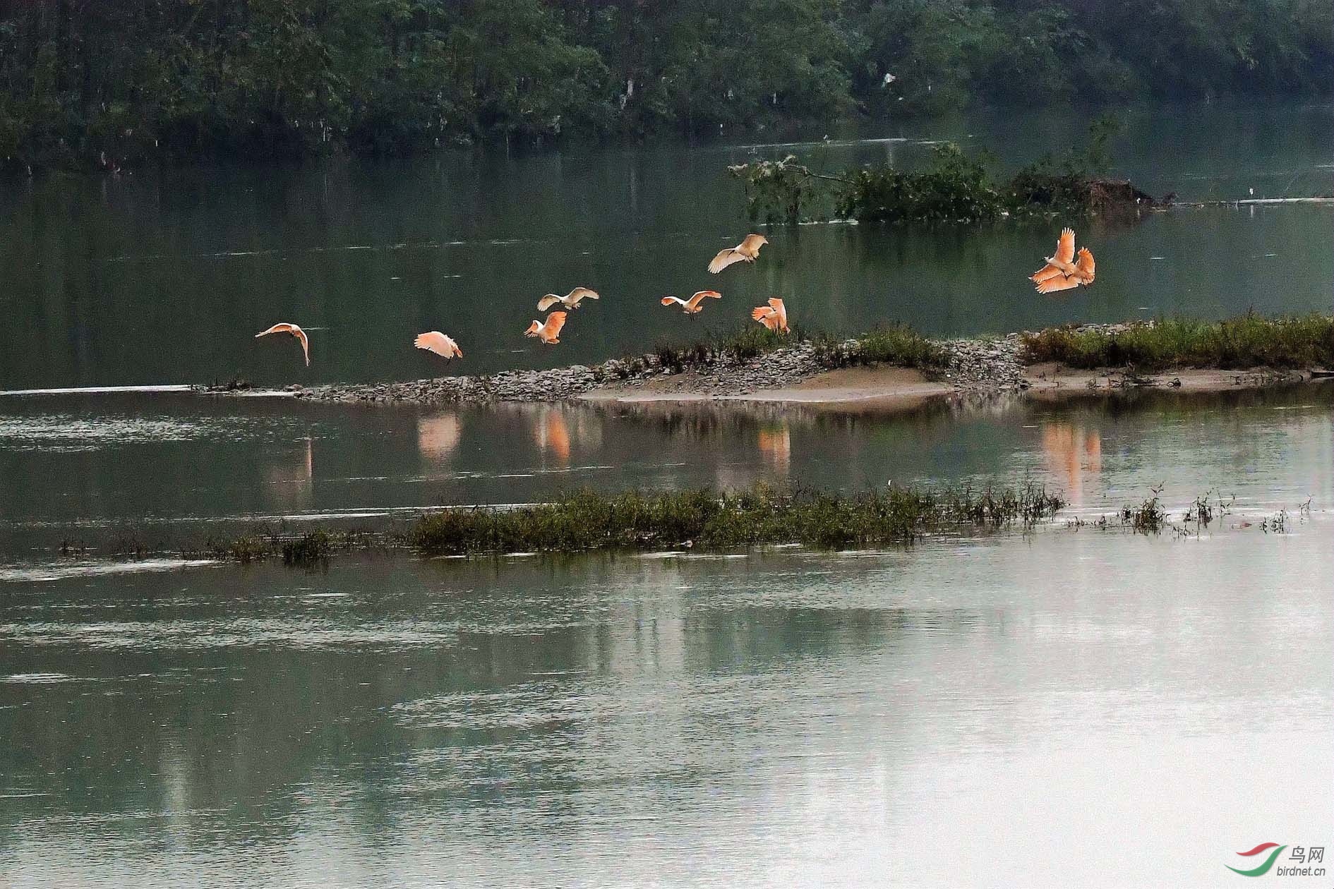 NIKON CORPORATION_NIKON D500_515312-517734_000.JPG