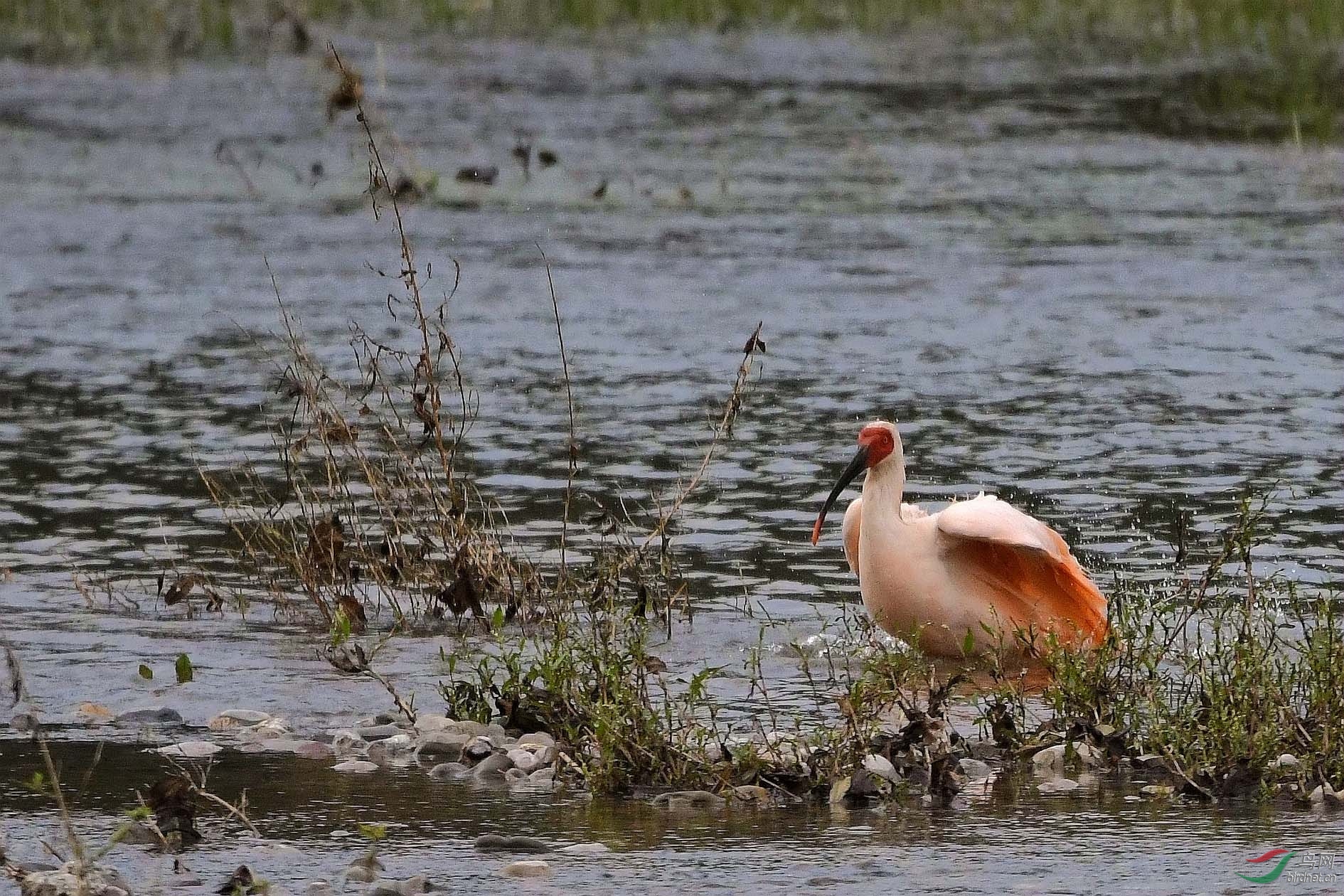 NIKON CORPORATION_NIKON D500_6927024-6929838_000.JPG