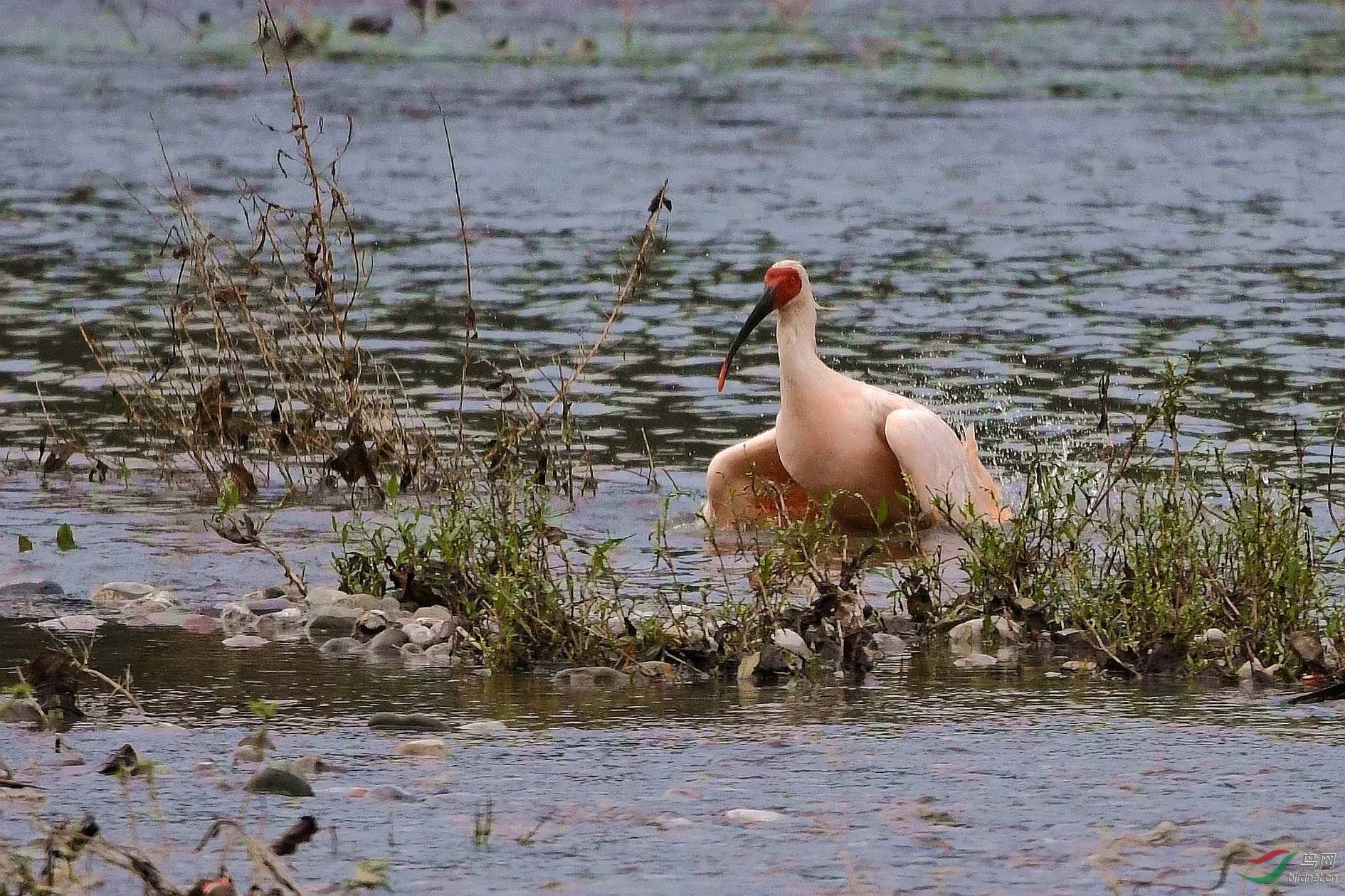 NIKON CORPORATION_NIKON D500_6930128-6932554_000.JPG
