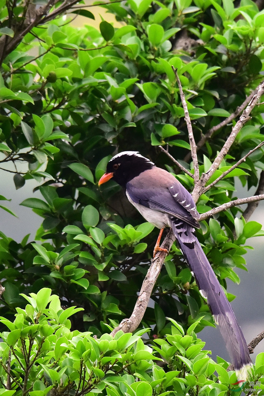 DSC_1013.JPG