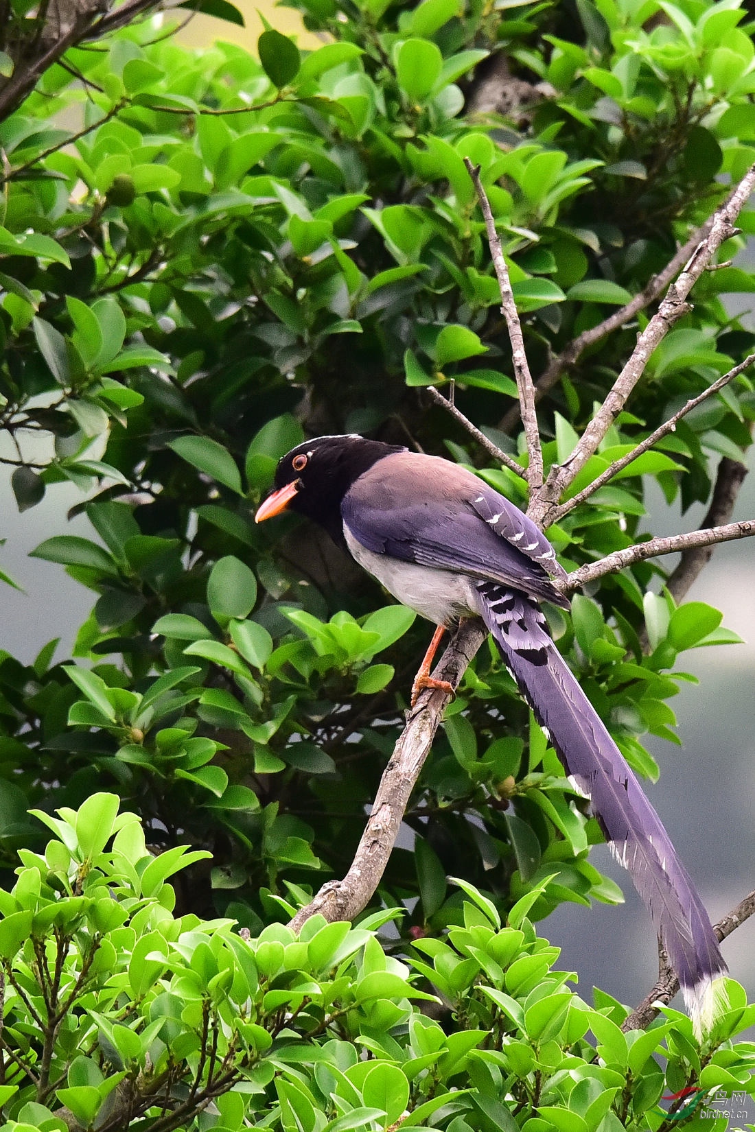 DSC_1014.JPG