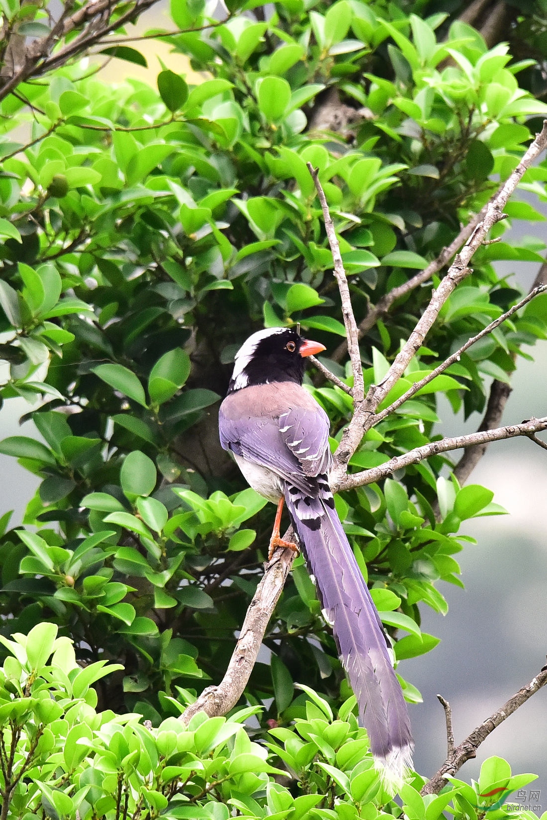 DSC_1015.JPG