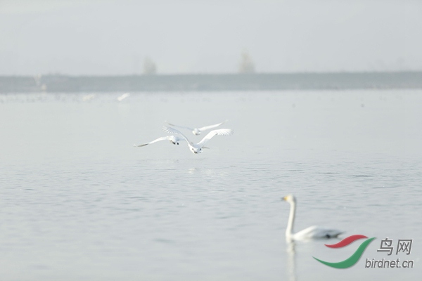 _E8J1000.jpg