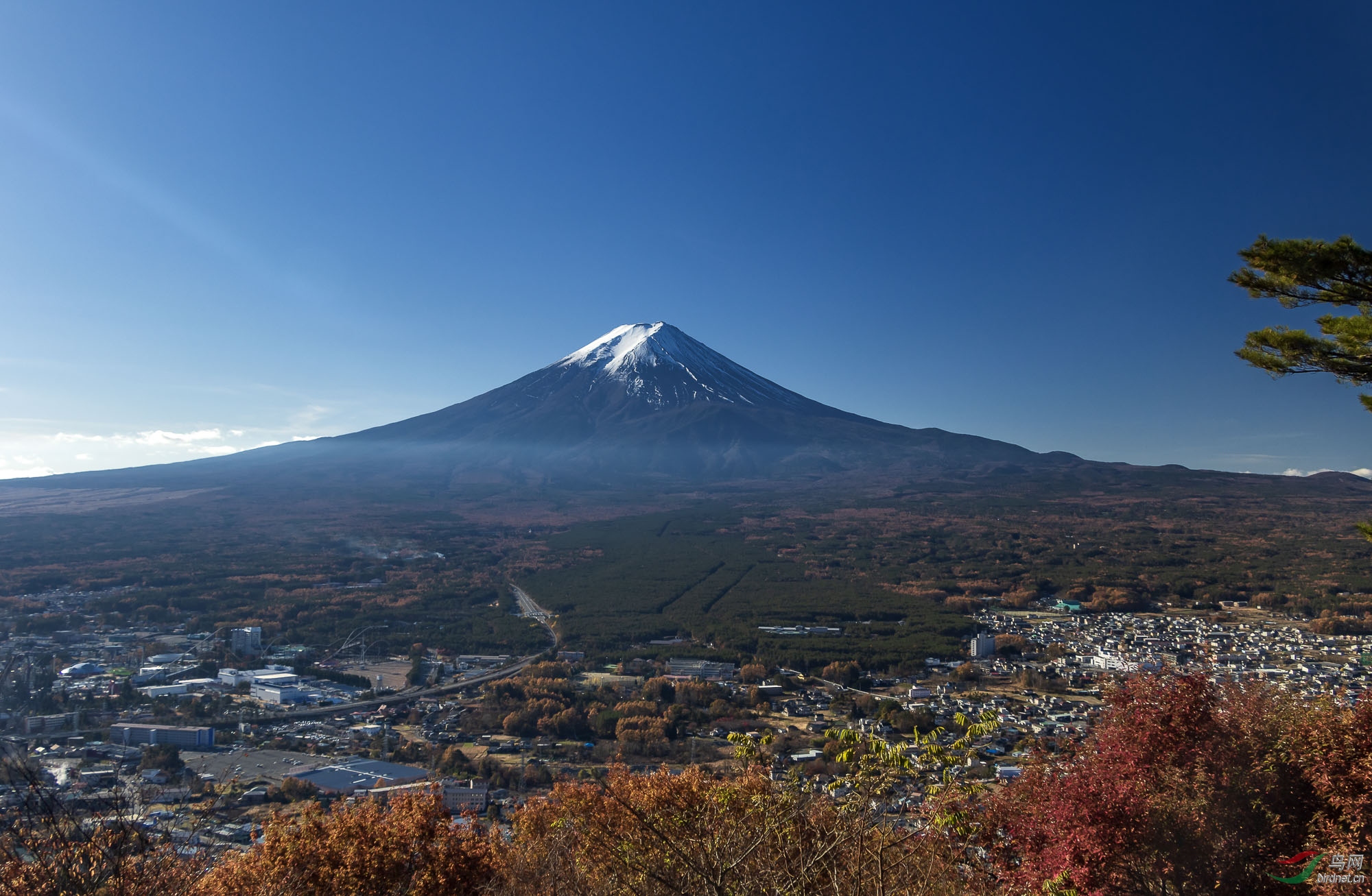 远眺富士山