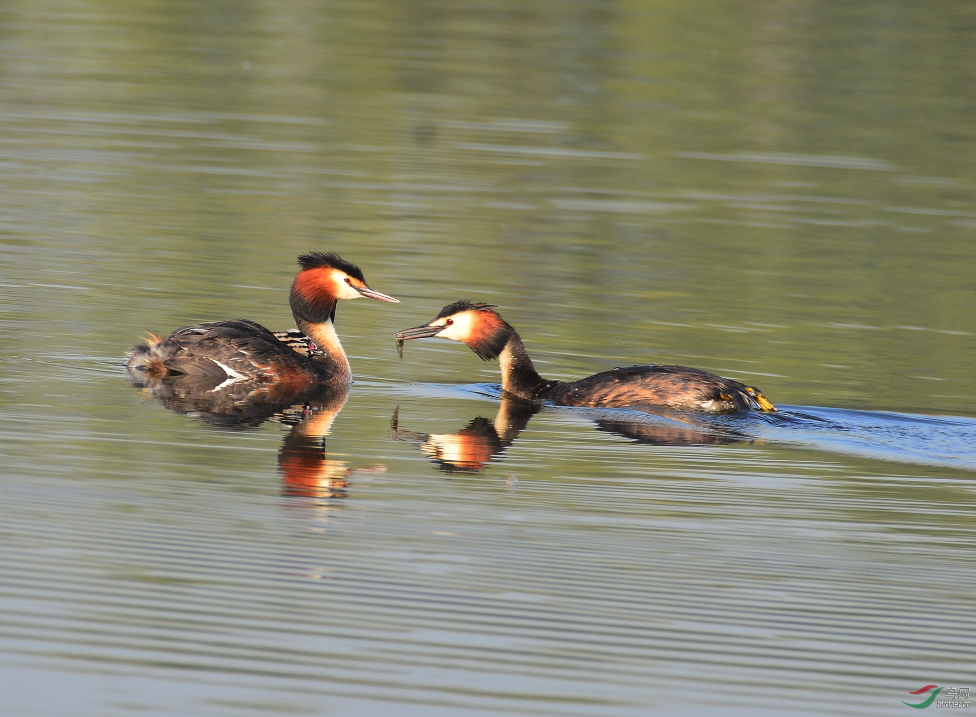 ������Ӱ 005����.jpg