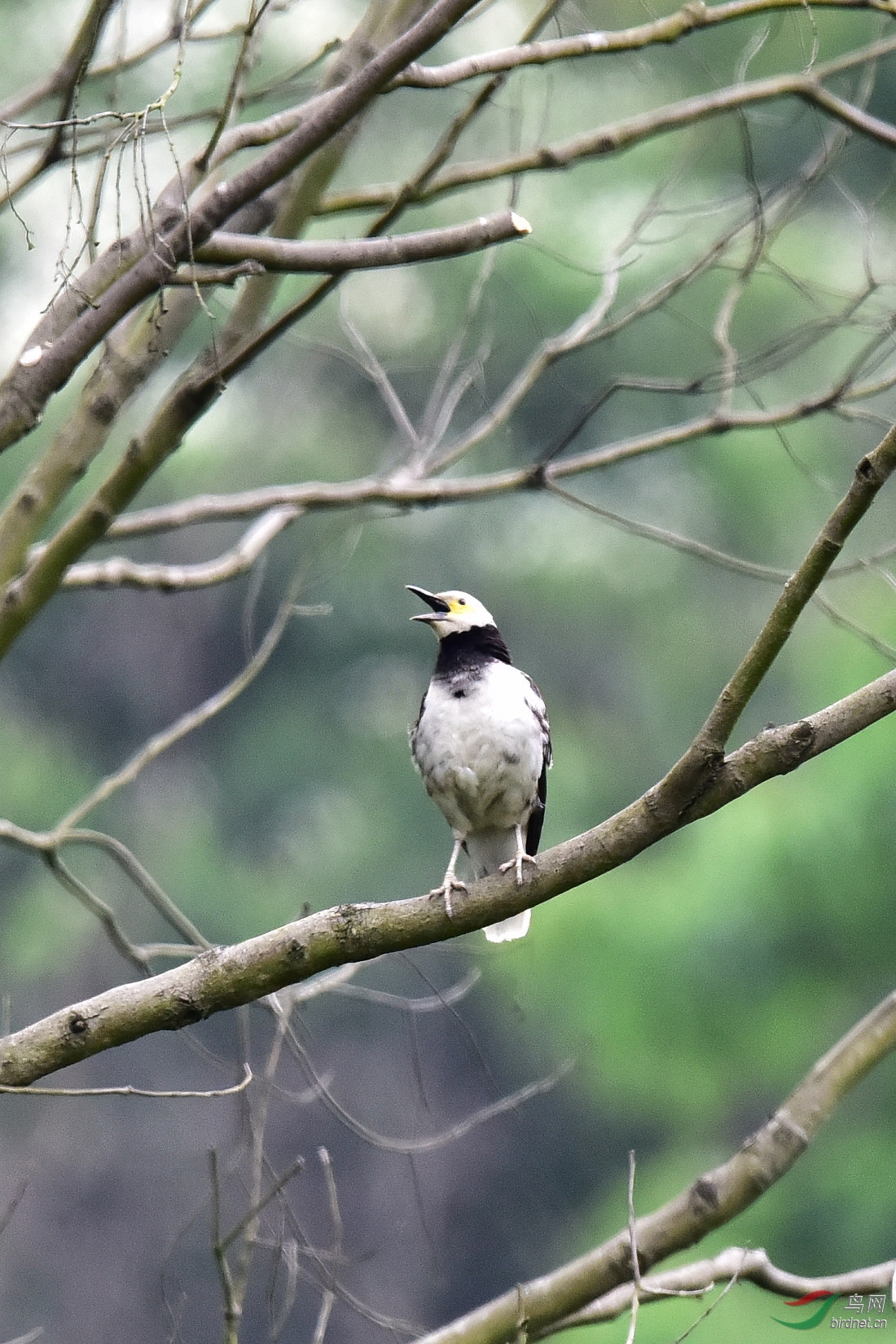 DSC_0588.JPG