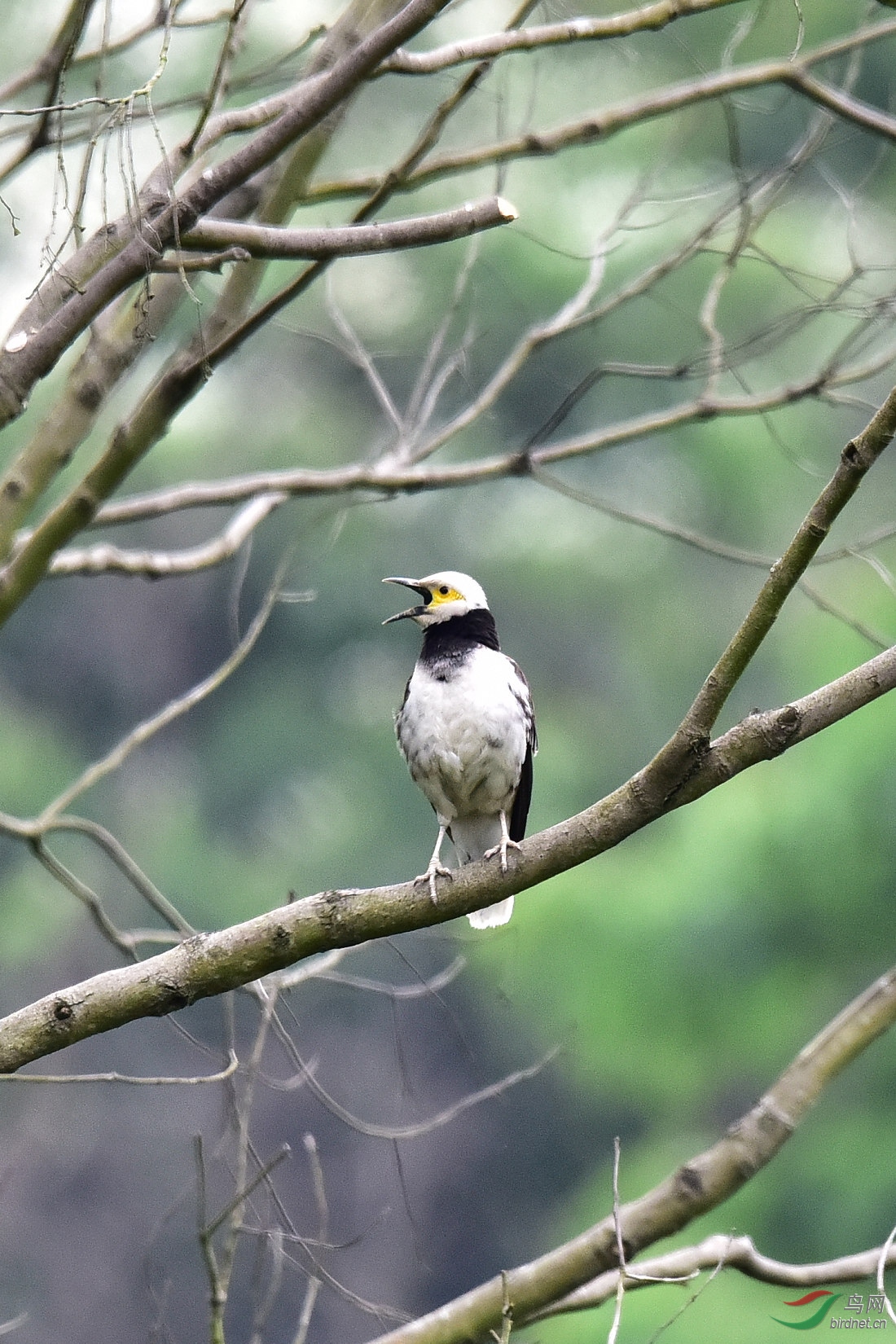 DSC_0589.JPG