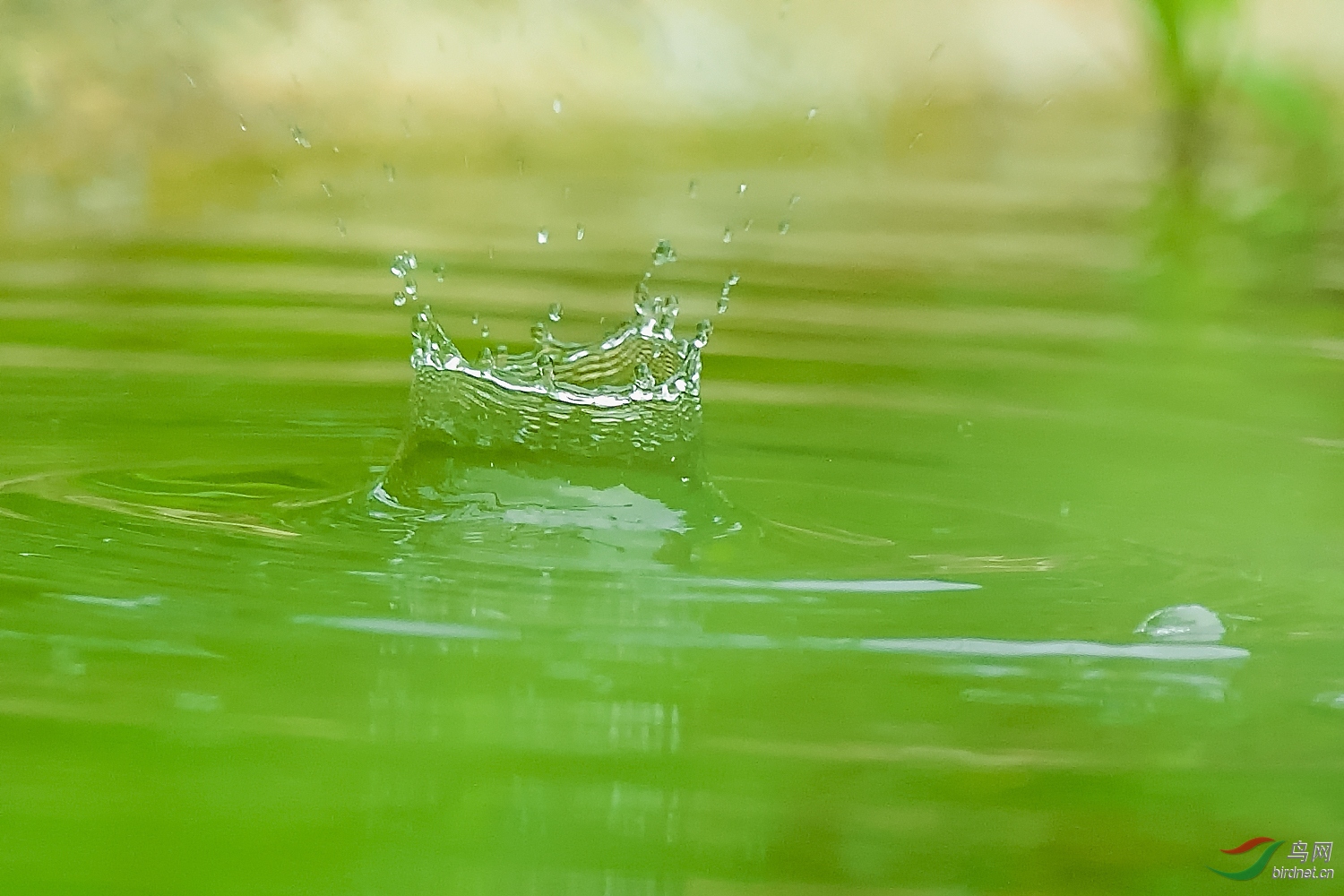 _DSC1877_14720a.jpg