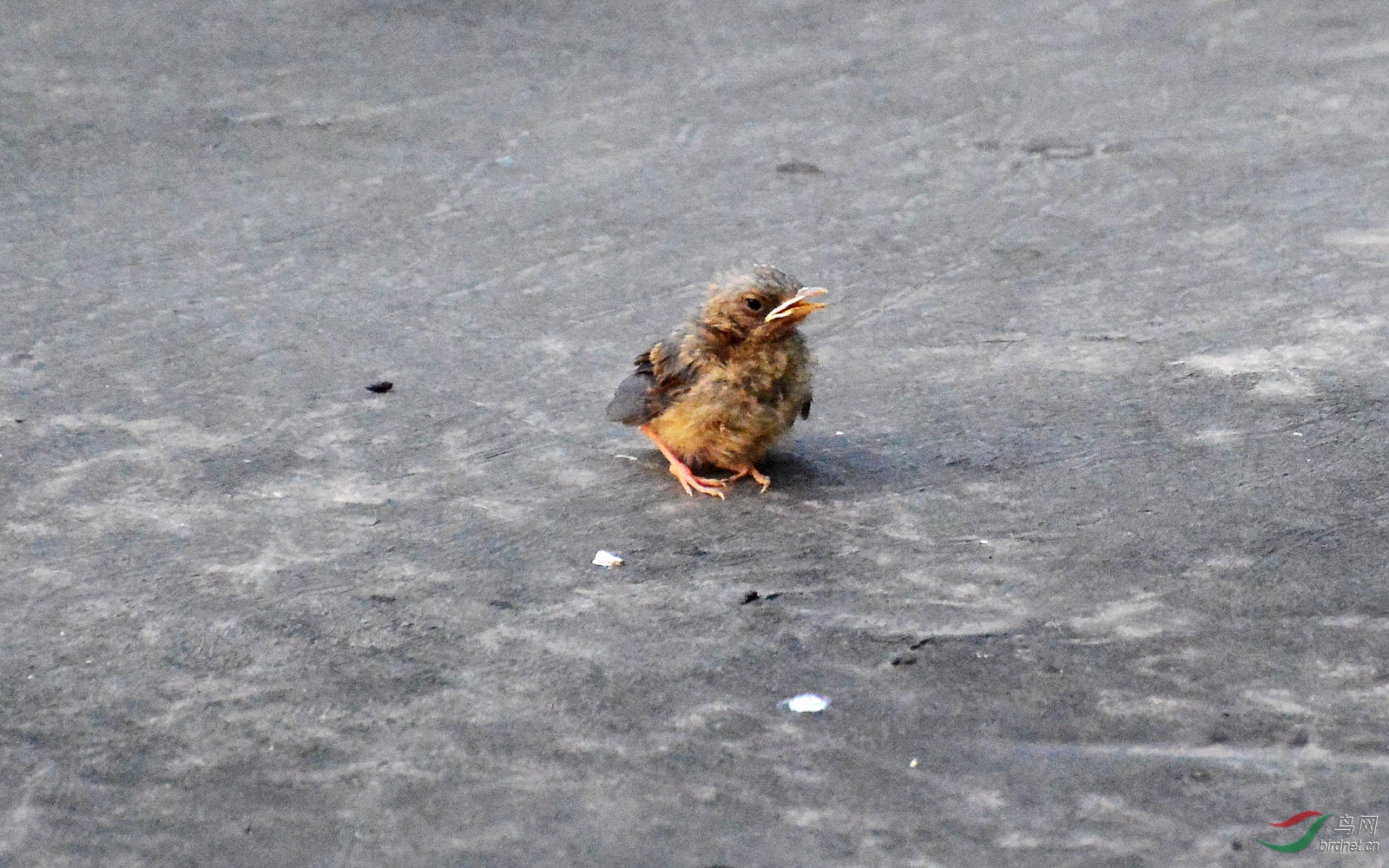 DSC_8735.JPG