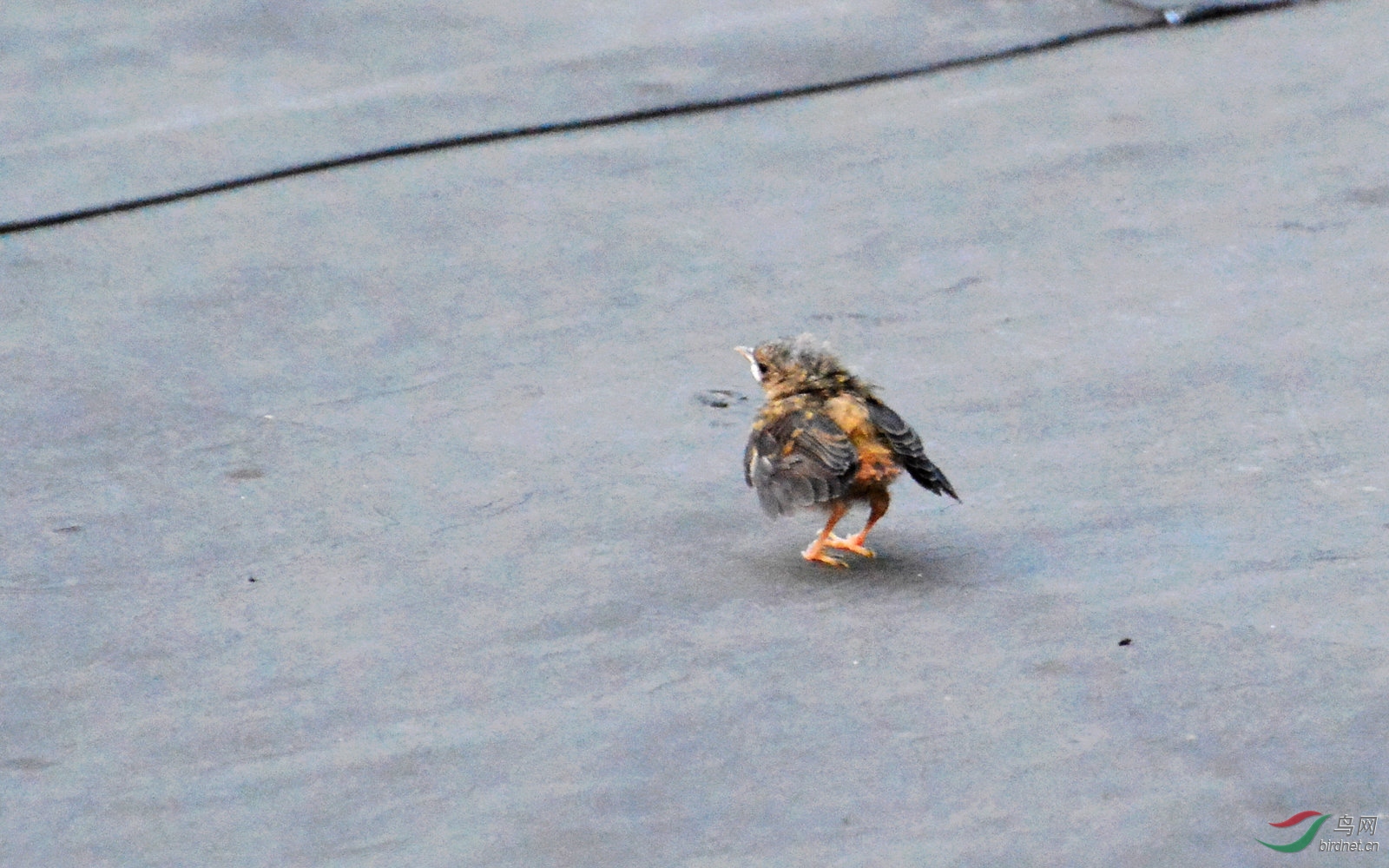DSC_8739.JPG