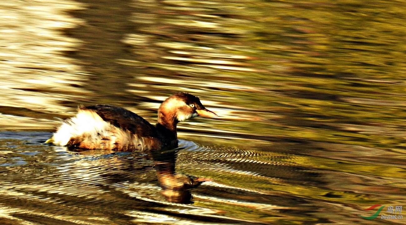 DSCN9058.JPG