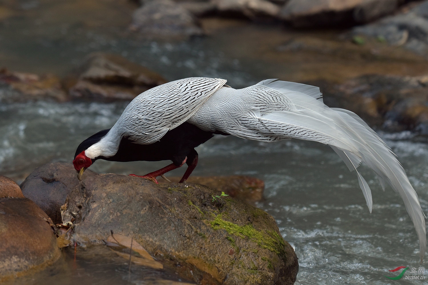 D72_5304.jpg