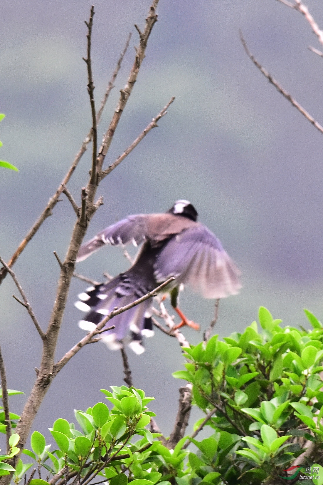 DSC_1024.JPG
