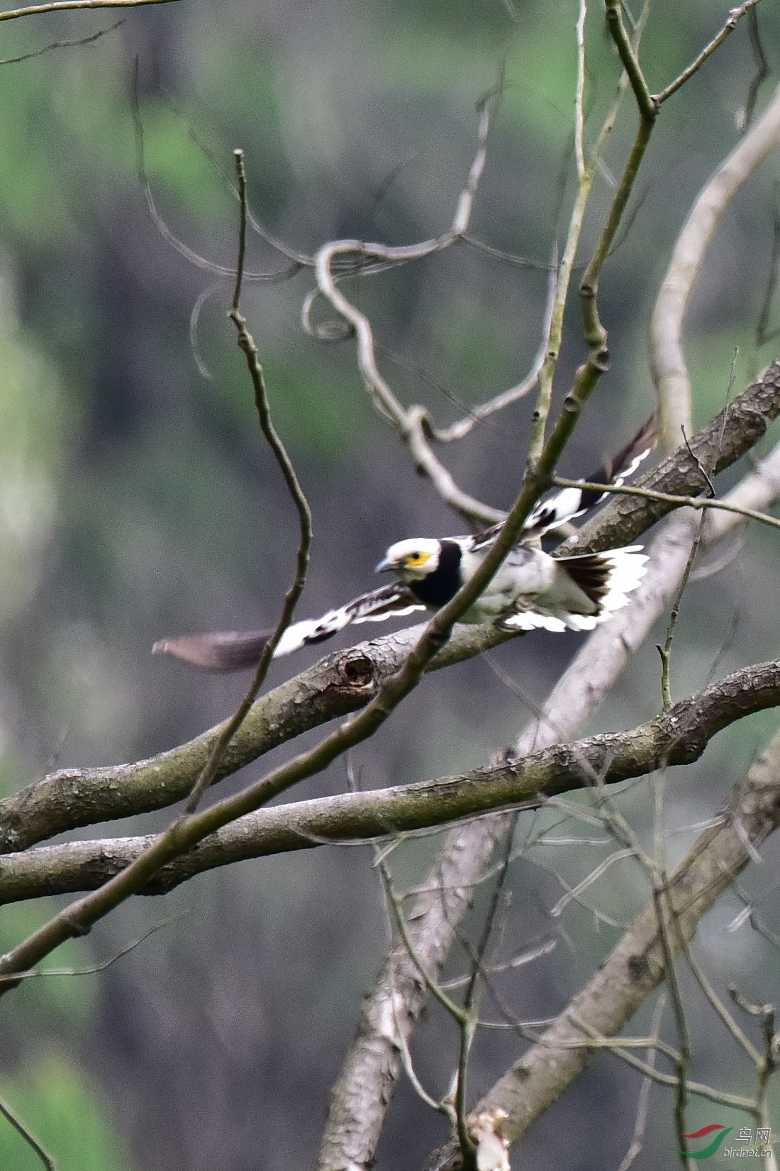 DSC_0594.JPG