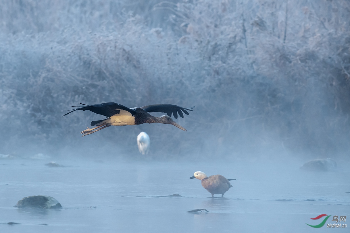 ץ����ʯ��ׯ������ұ��ʪ�ء�