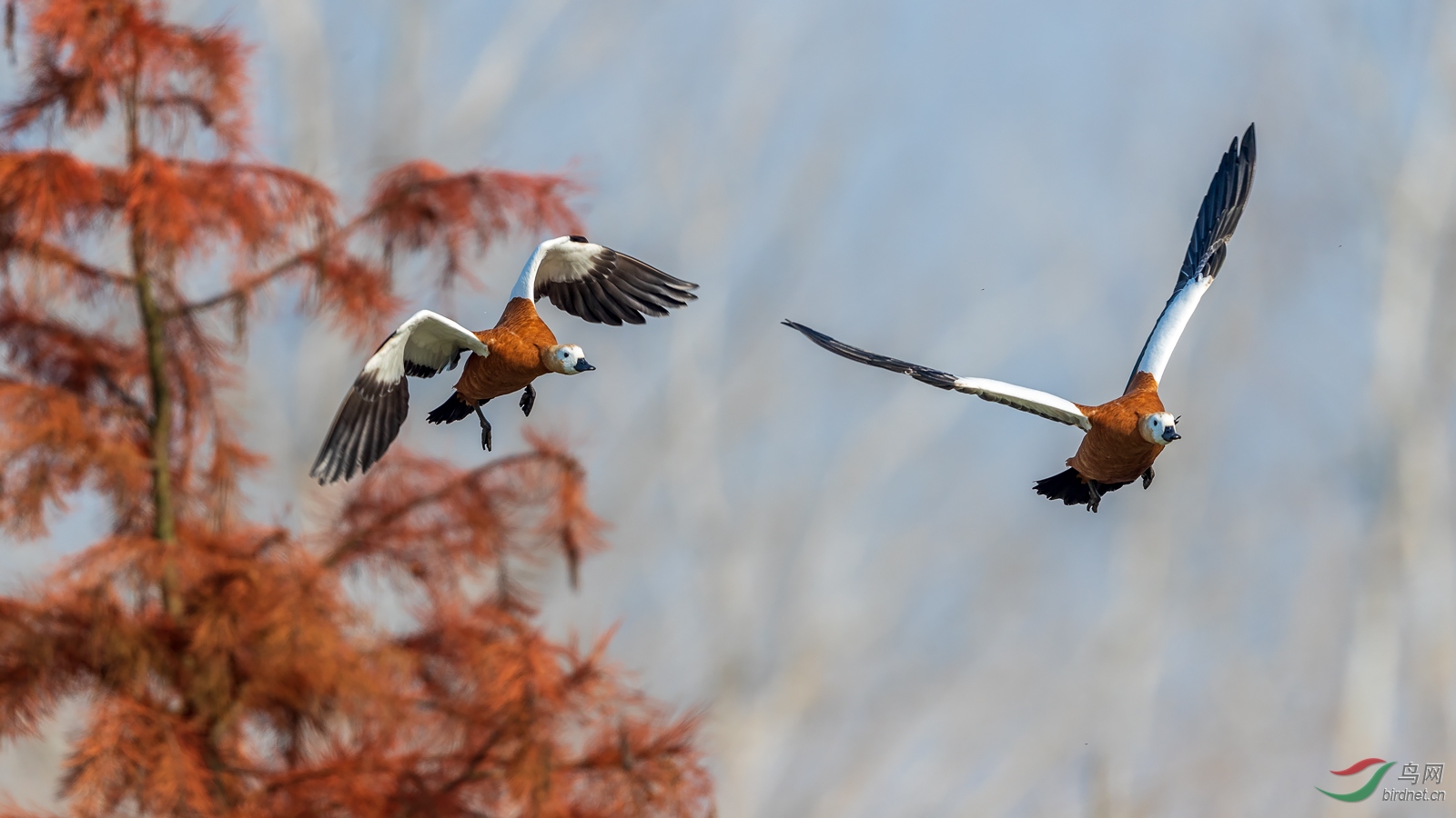 1DX_5808-Pano.jpg