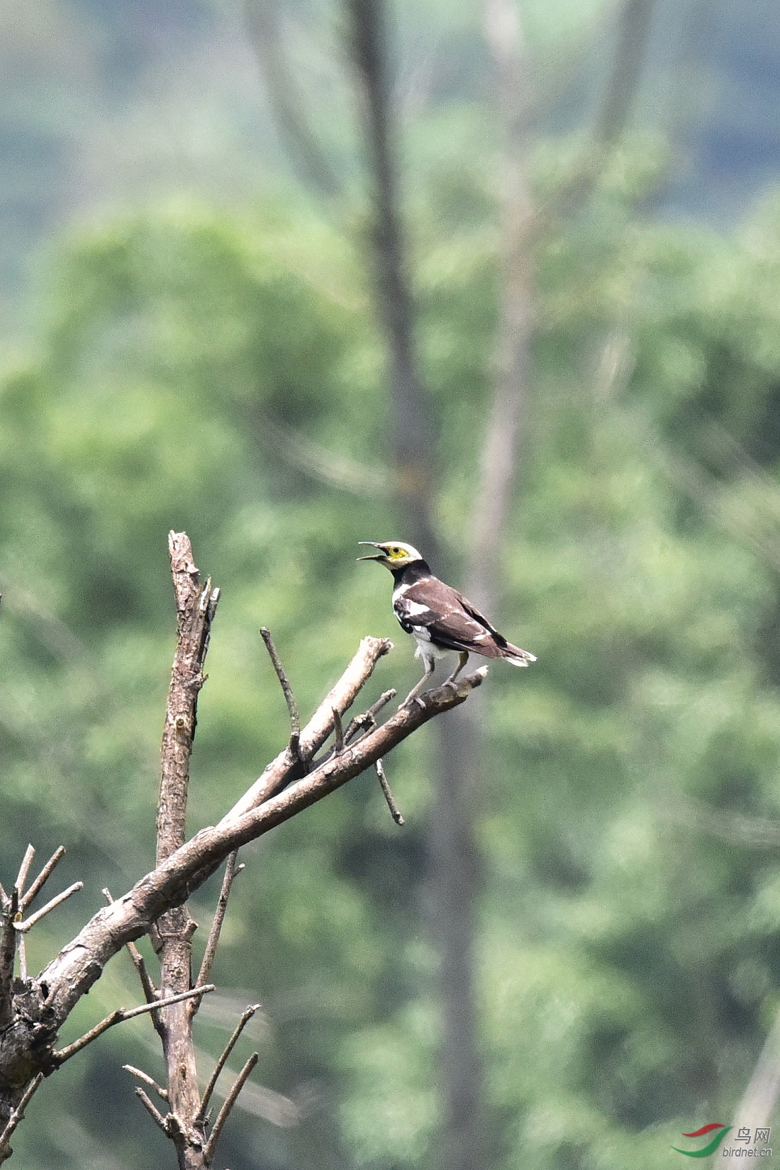 DSC_0596.JPG