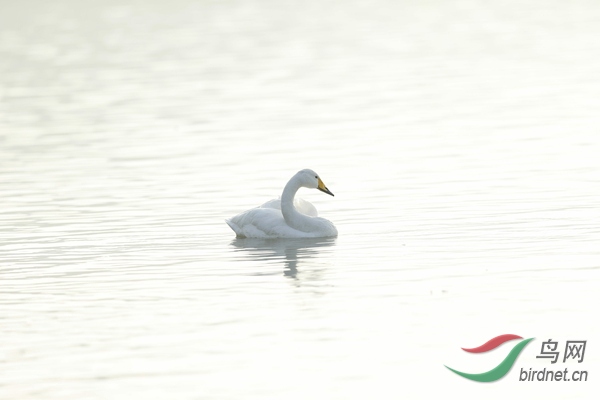 _E8J0936.jpg