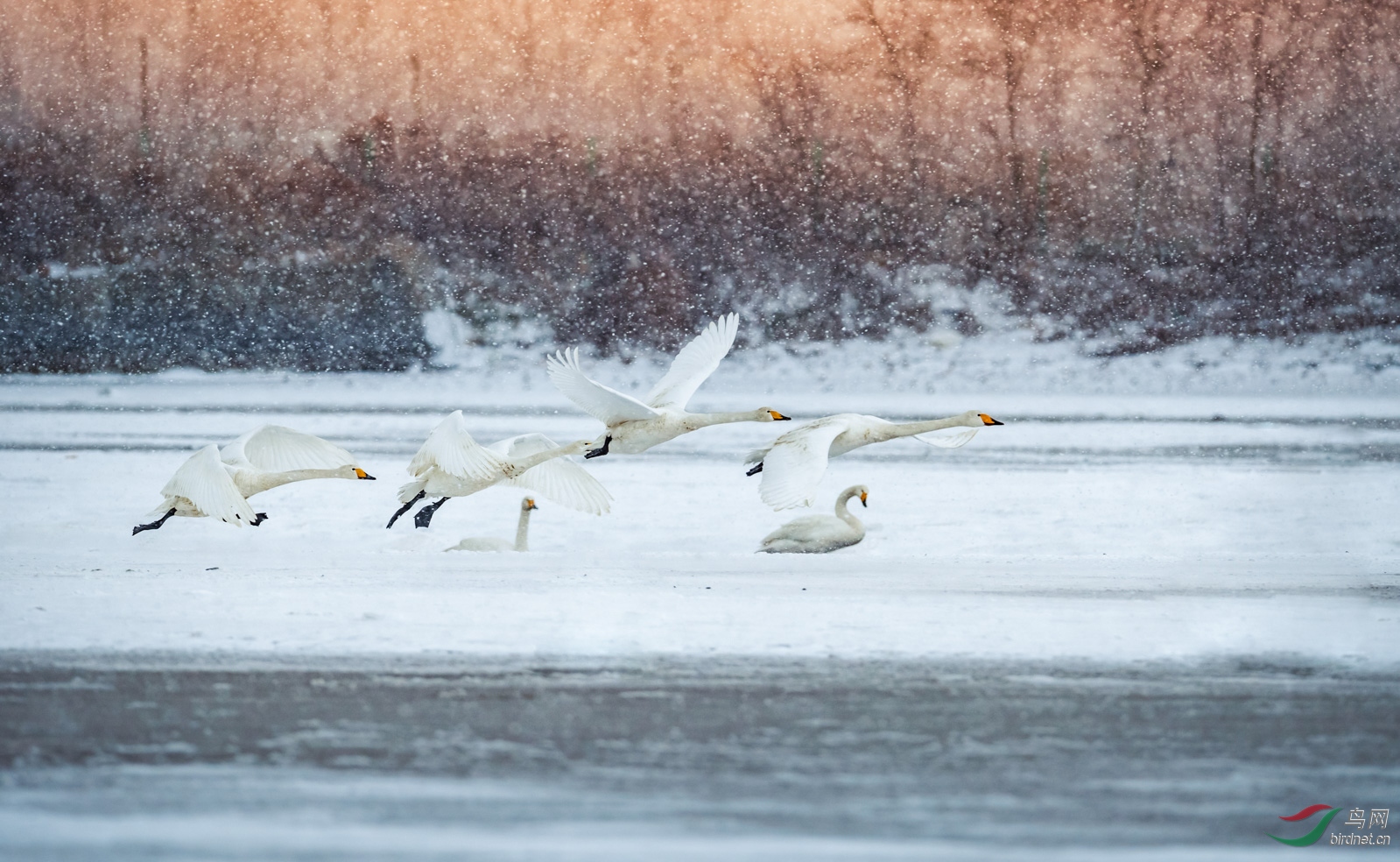 �ٻ���� (3 - 1).jpg