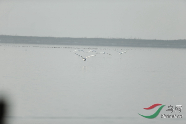 _E8J1073.jpg
