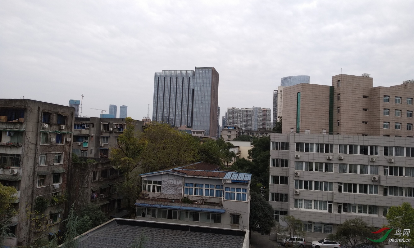 ΢��ͼƬ_20191218121646-1.JPG