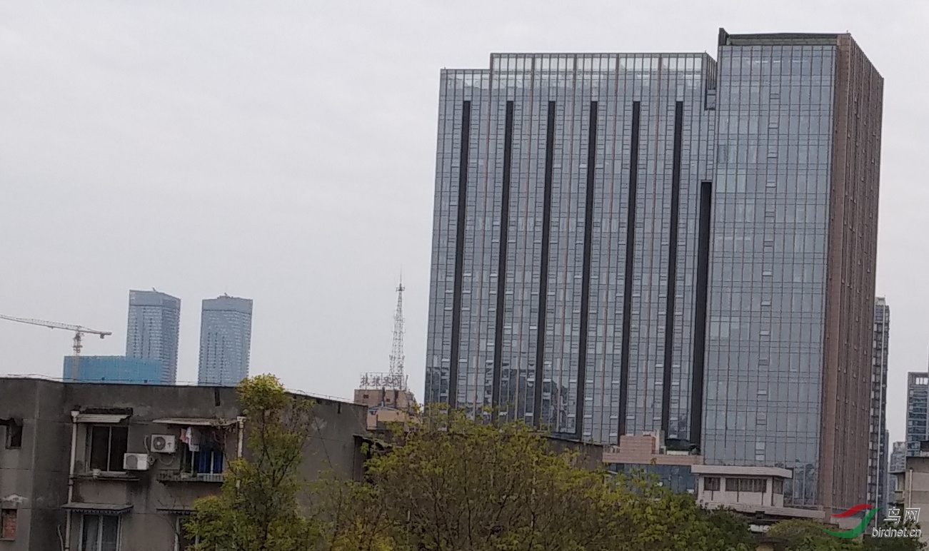 ΢��ͼƬ_20191218121646-2.JPG