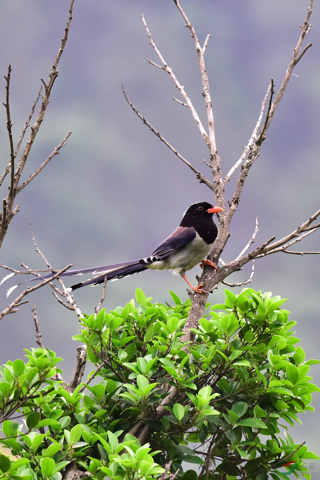 DSC_1028.JPG