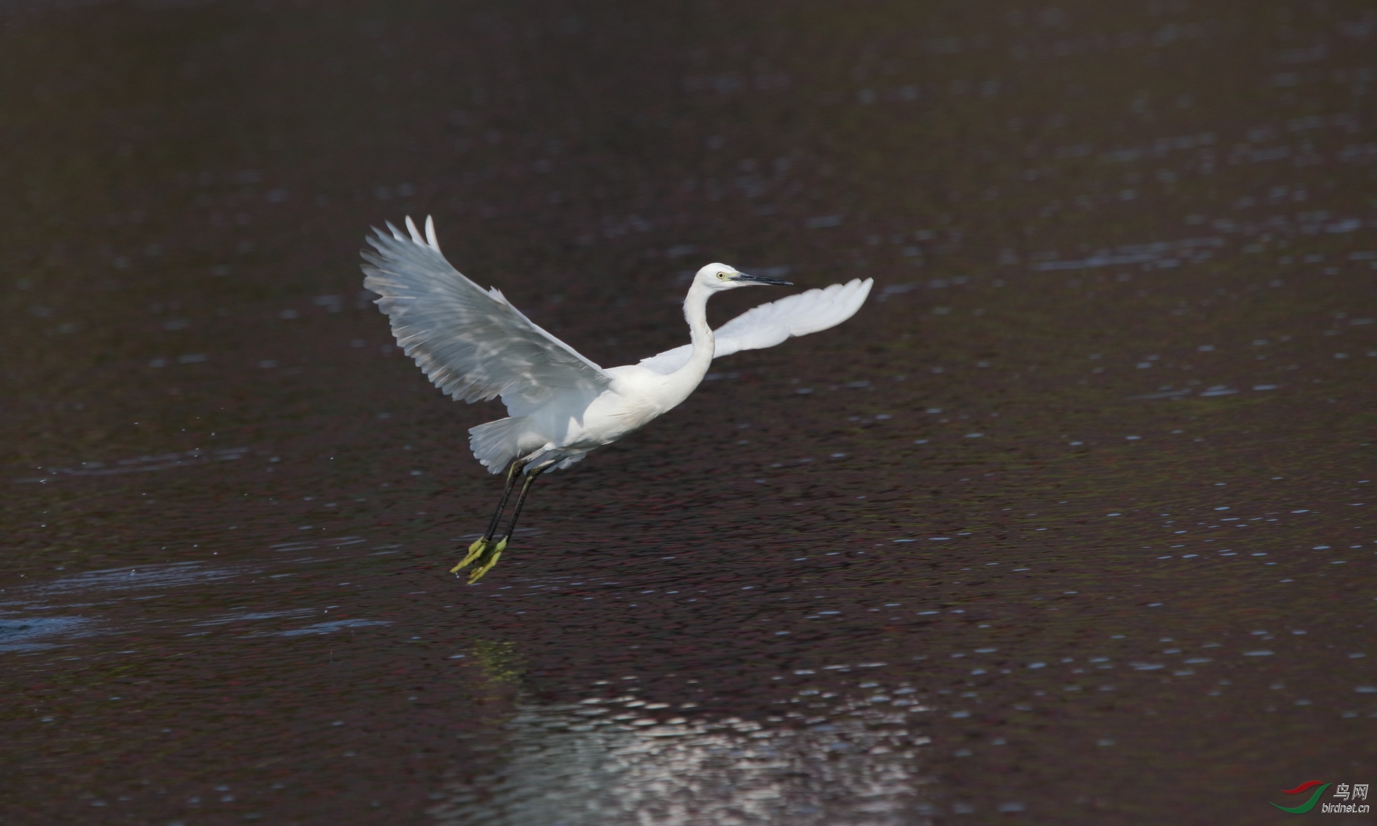 IMG_7778.JPG