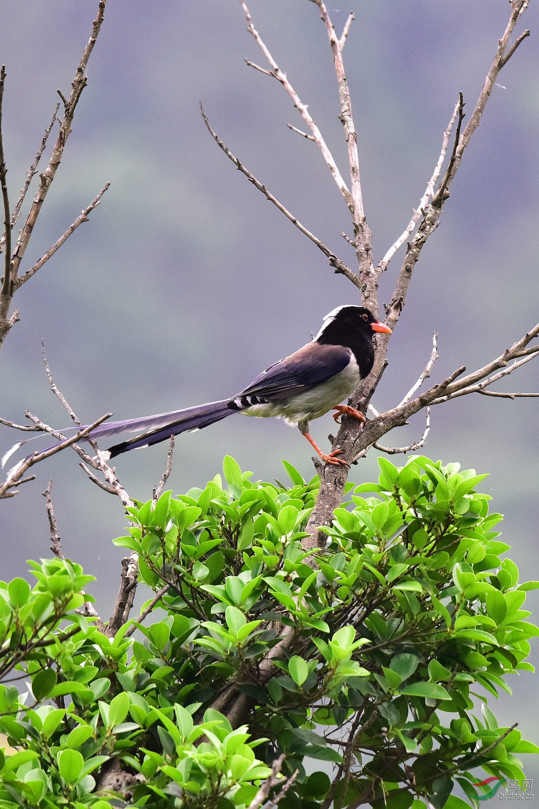 DSC_1029.JPG