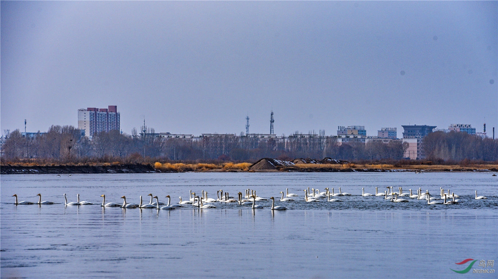 DSC_37371.jpg