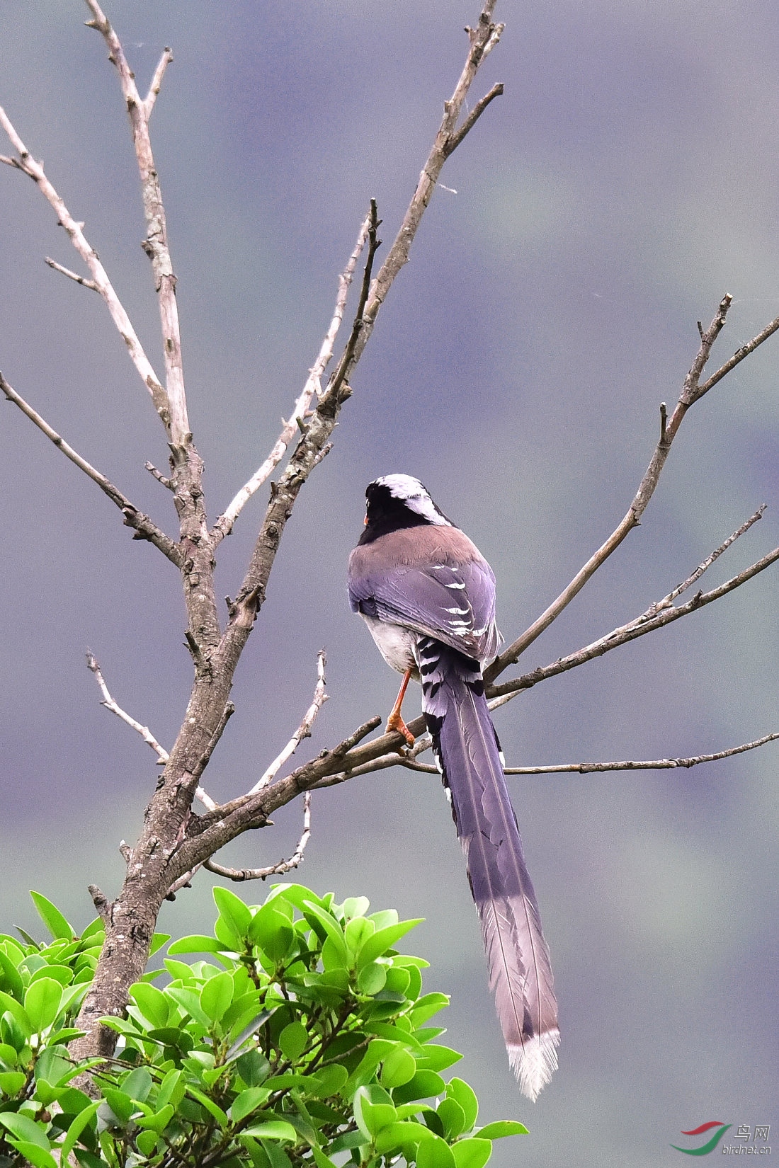 DSC_1032.JPG