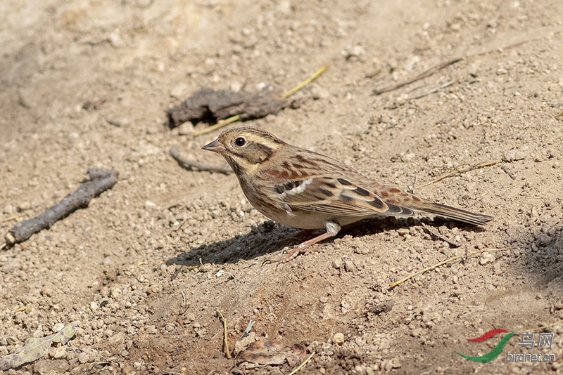 387A7469.jpg