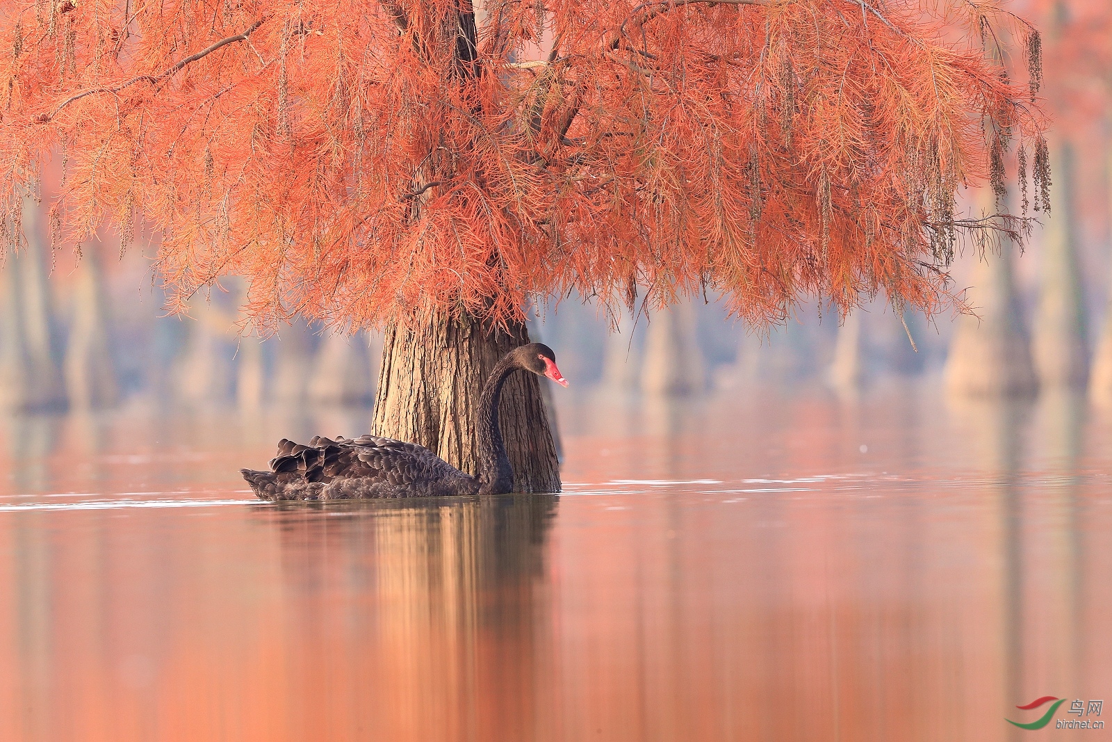 AI0I8333 - ����.JPG