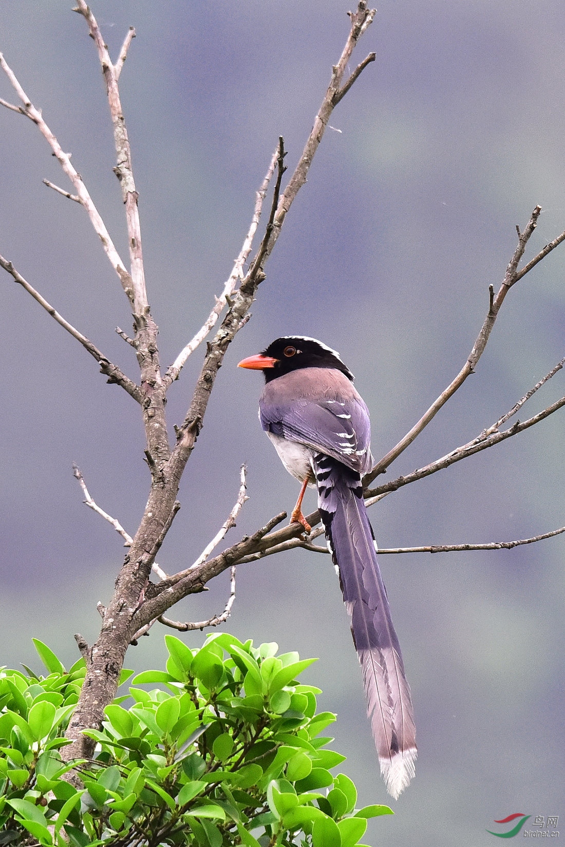 DSC_1034.JPG