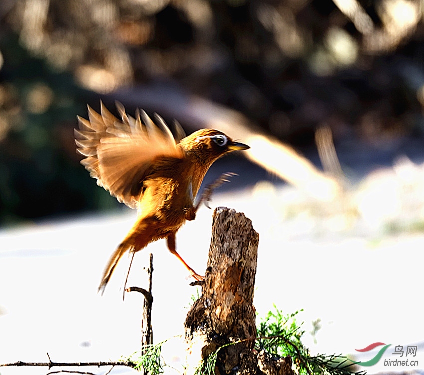 DSC_1467_00001_����.jpg