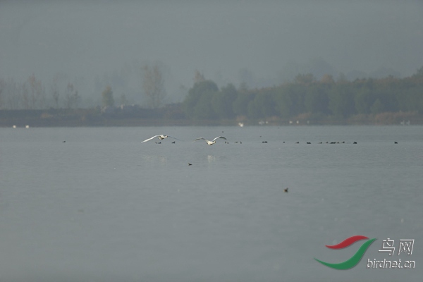 _E8J0679.jpg