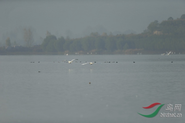 _E8J0680.jpg