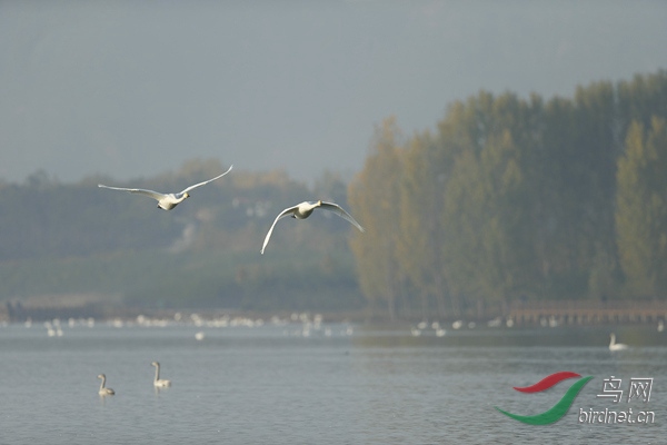 _E8J0705.jpg