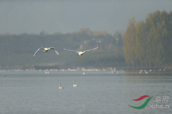 _E8J0703.jpg