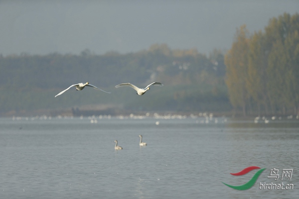 _E8J0702.jpg