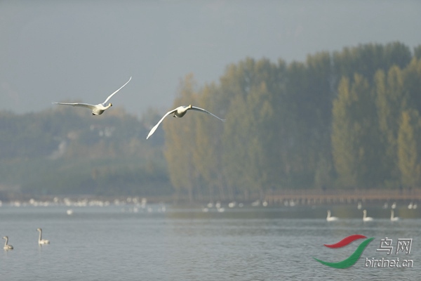_E8J0708.jpg